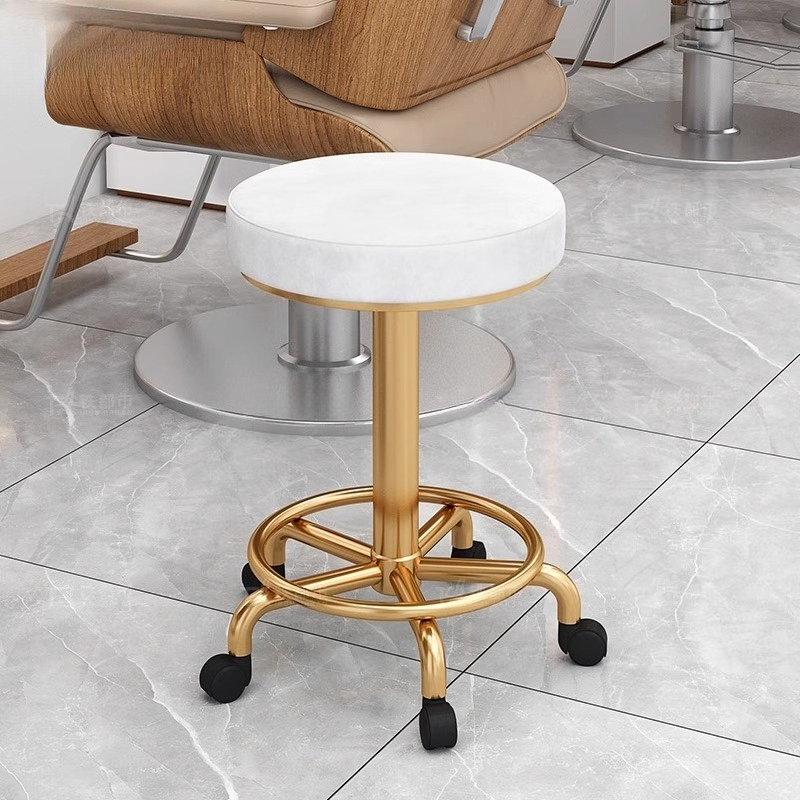 โมเดิร์นความงามสตูลProfessiona - Beauty Makeup Chair บทวิจารณ์และราคา